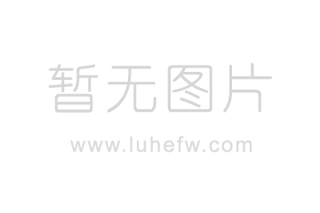 ”今年和明年美元进一步看涨的风险明显上升
